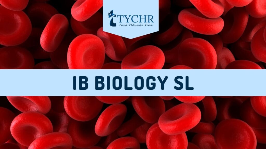 IB BIOLOGY SL TYCHR